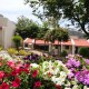 Sprawling Gardens