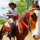 Horse Riding