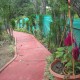 Walking Track