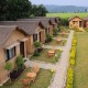 Row of Cottages