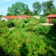 Garden Area