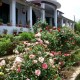 Garden Garden