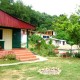 Garden Garden