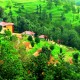 Panoramic View Panoramic View