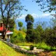 Nature view Nature view