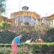 Tea Garden Tea Garden