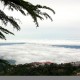 Panoramic View Panoramic View