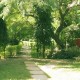 Lawn
