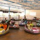 Bumper Car Bumper Car