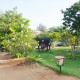 Lawn Area
