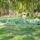 Garden Area