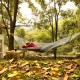 Hammock