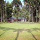 Lawn Area
