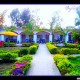 Garden Area