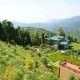 Amidst Lush Greenery Amidst Lush Greenery