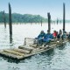 Bamboo Rafting