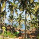 Resort view Resort view
