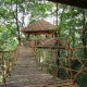 House on a tree