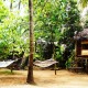 Shiva treehouse Shiva treehouse